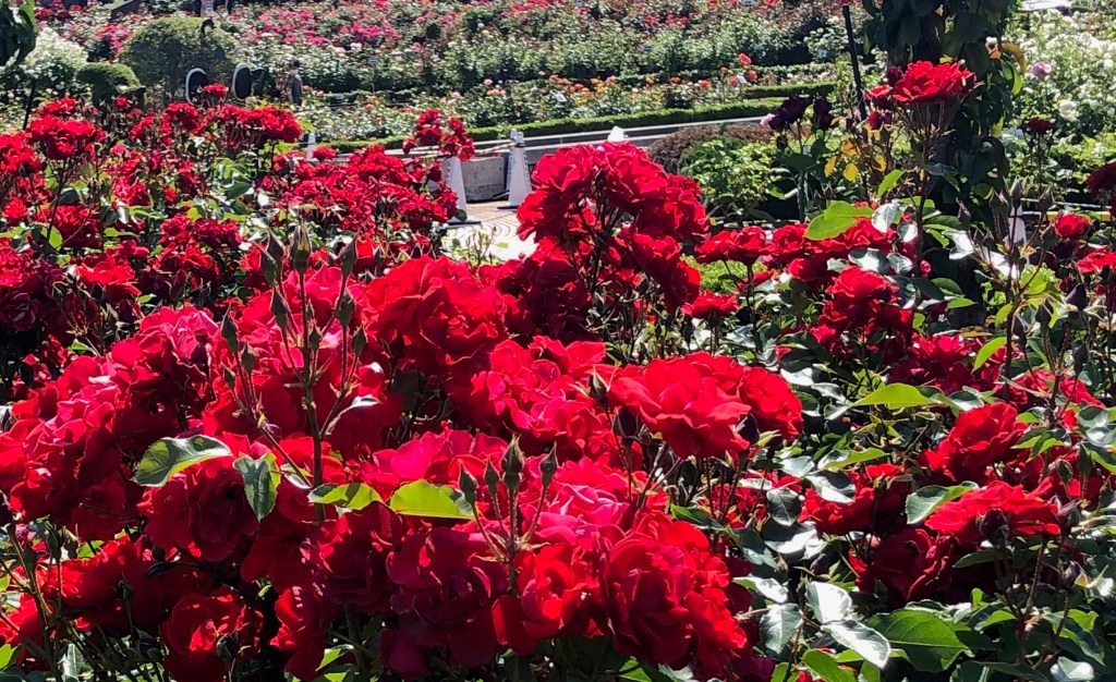 自分軸で生きる-依存と自立の境界線を再考する