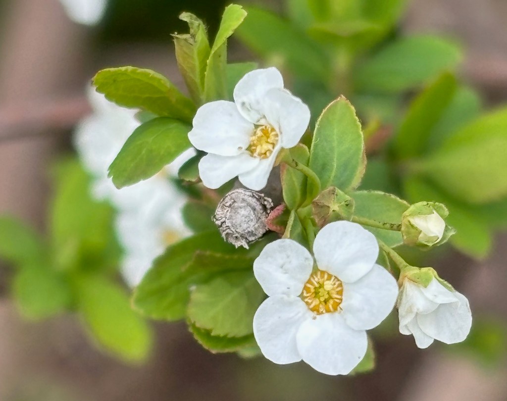見えない傷-親からの攻撃と回避的性格の形成