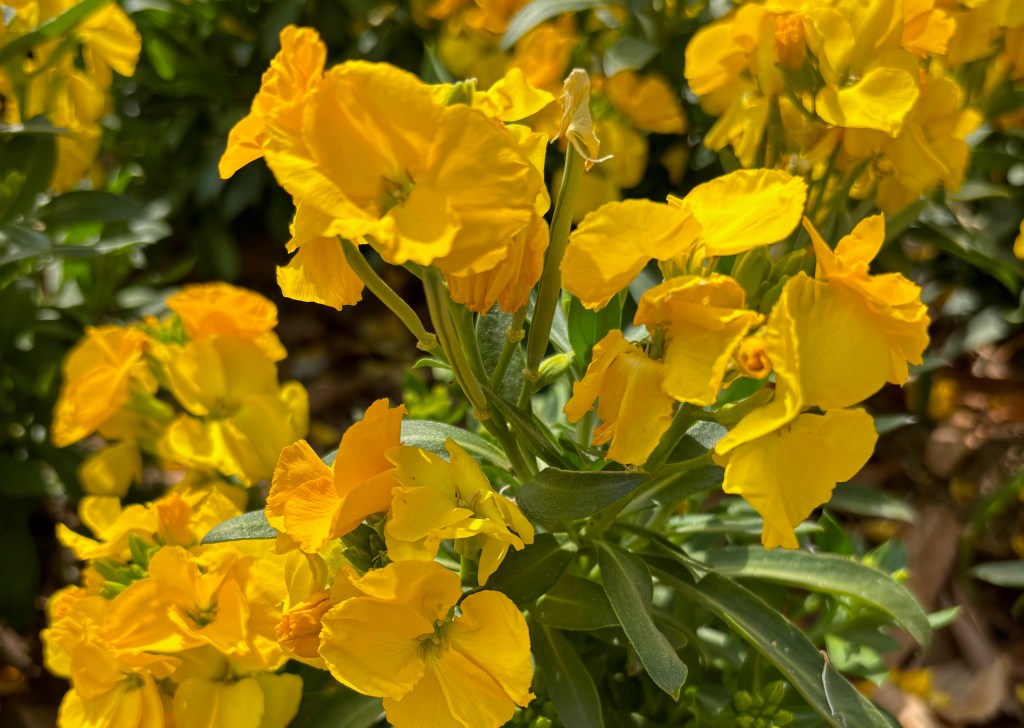 癒やされていない傷-被害者意識とインナーチャイルドの深い関係性