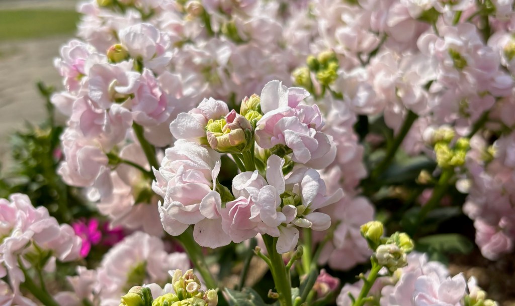 自分の中の輝きを見つける-真の自己実現への道