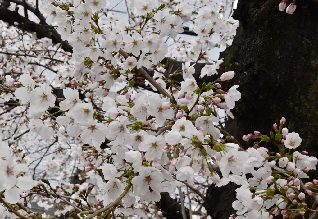 癒しへの道-共依存パターンを断ち切り、インナーチャイルドと向き合う