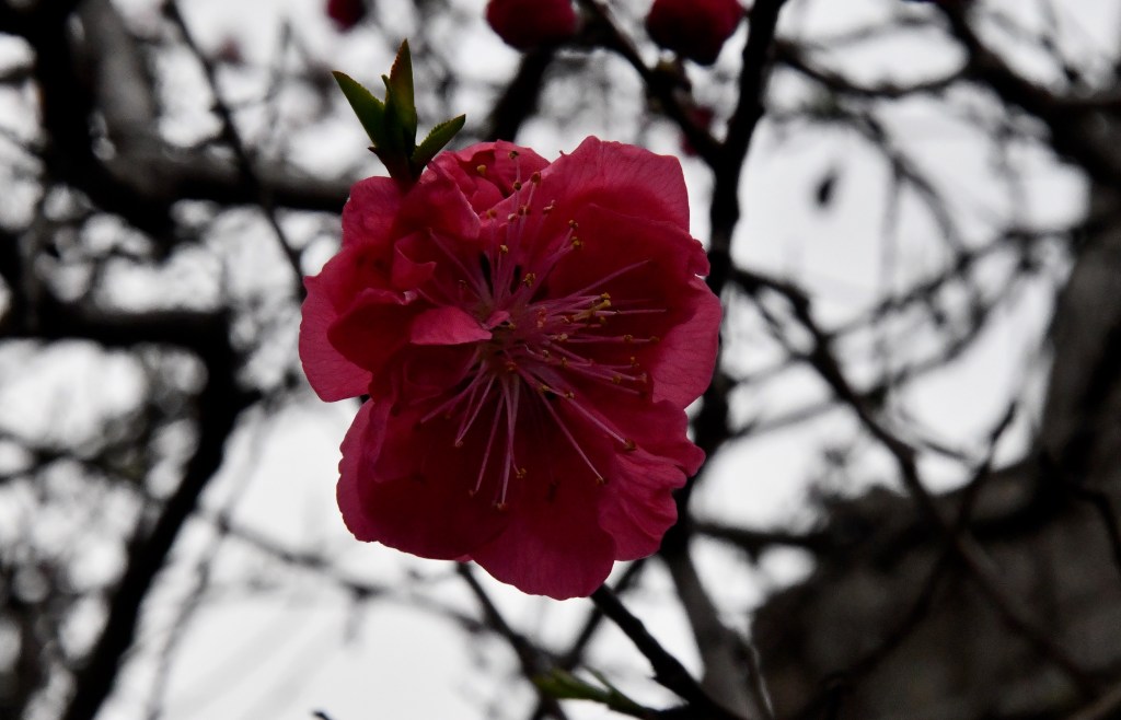 自分を認める力 – 自己受容から始まる本当の自分らしさへの旅