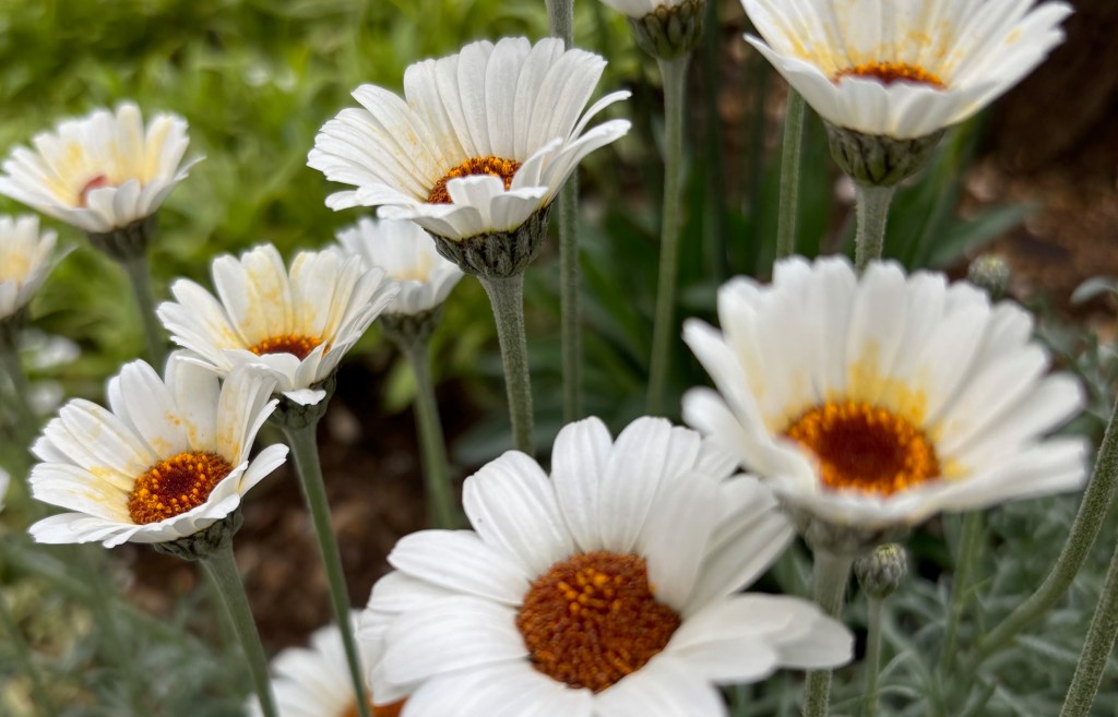 孤独の影 – 見捨てられ感覚との向き合い方