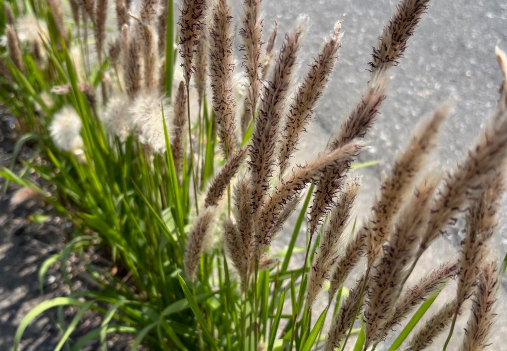 心の声を解放する-思いを言葉にできない自分との向き合い方（上）