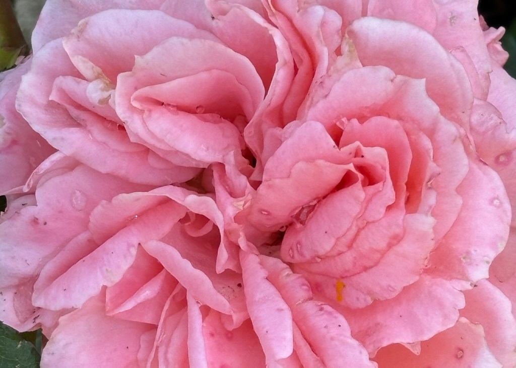 自分を見失わないために -自己価値感の低さが生む依存の連鎖を断ち切る