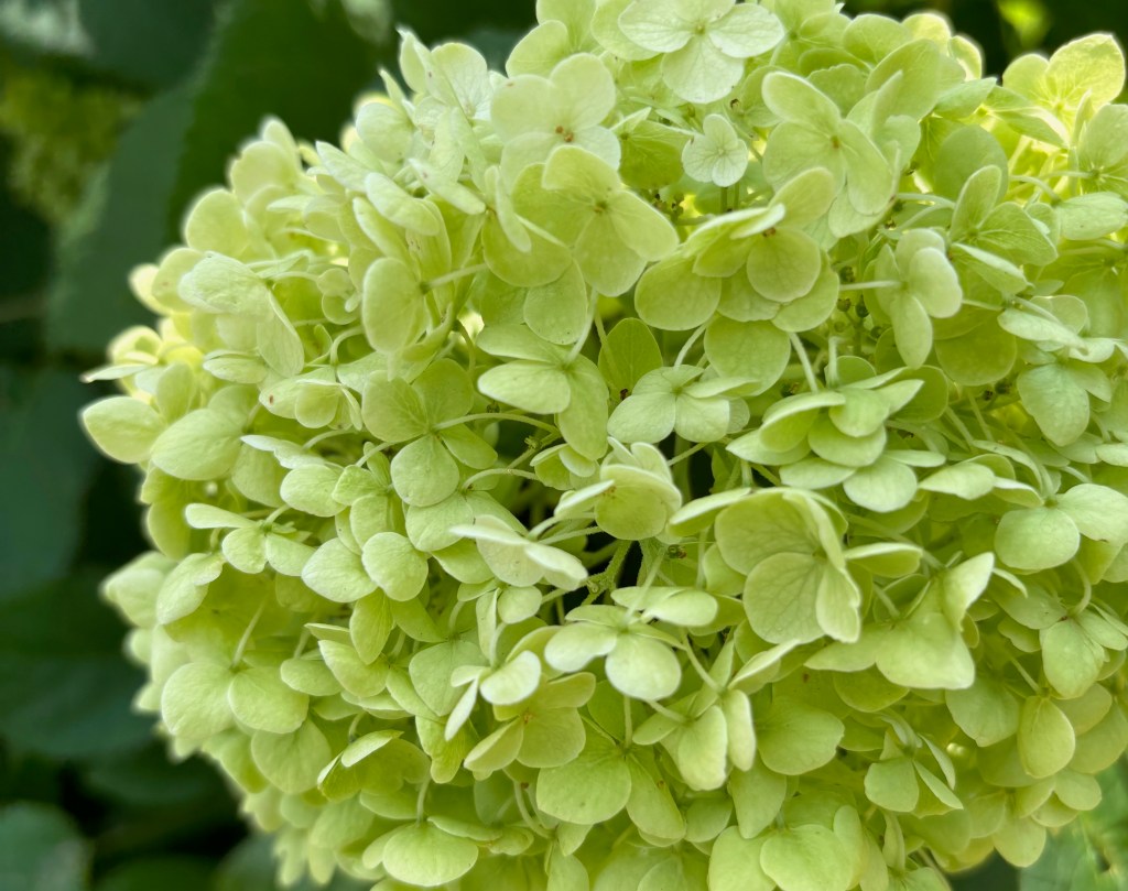 被害者意識から解放される道筋ー自分らしさを取り戻すために