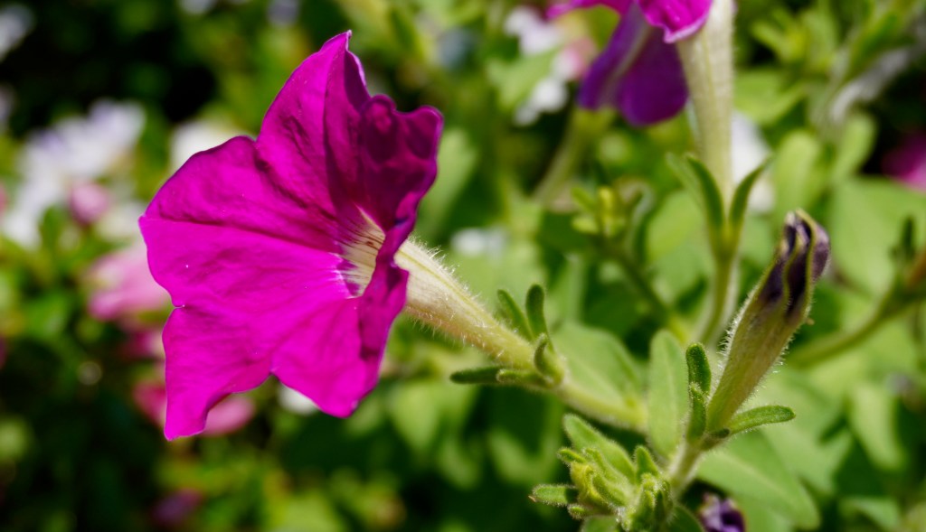 季節の変わり目に感じる心の揺れー変化への不安と向き合う