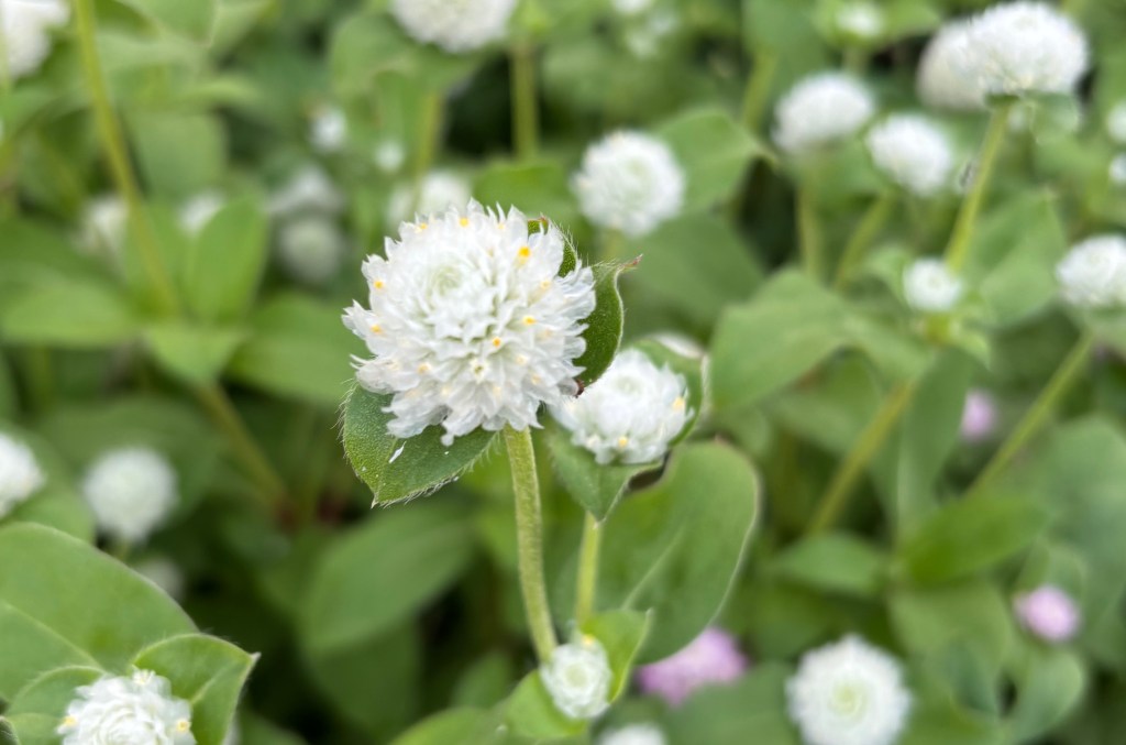 「どうせ私なんて」が口癖になっている人の心の奥にあるもの