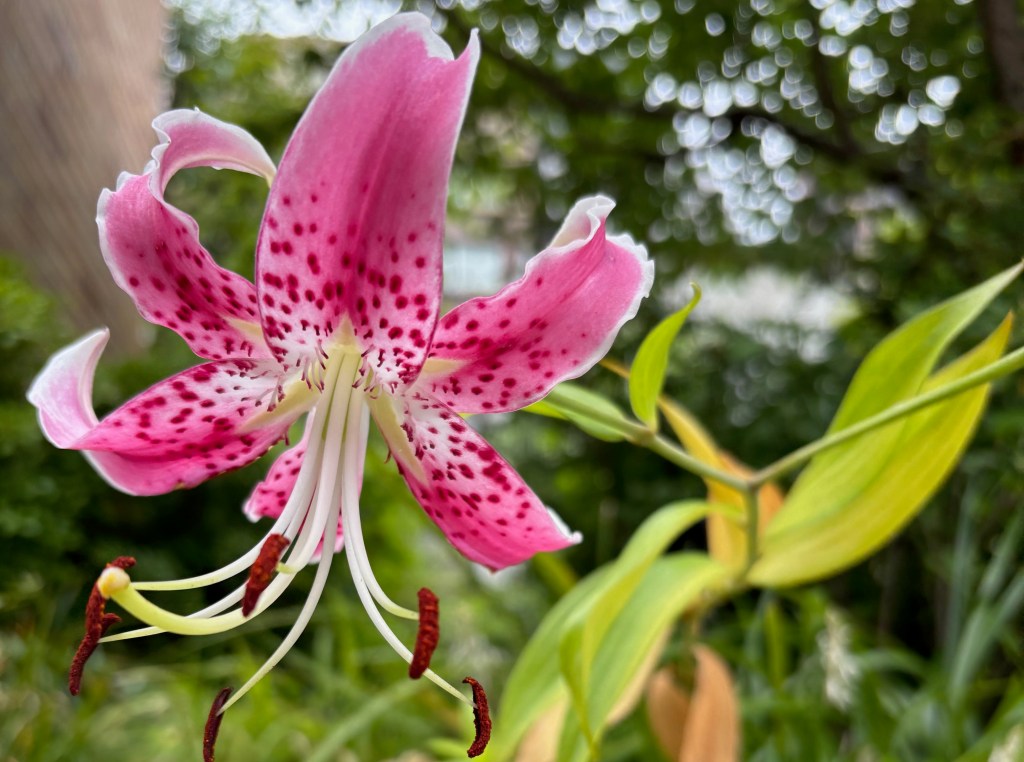 察しすぎる心を癒すーインナーチャイルドからのメッセージ