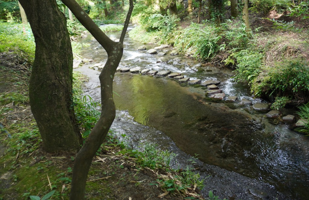 「親を超えてはいけない」という無意識の制限を外す～世代を超える成長