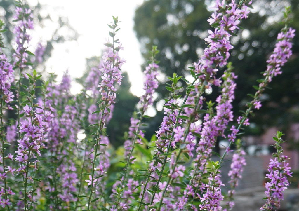 人と接するのが疲れる理由～エネルギーを守るコミュニケーション術