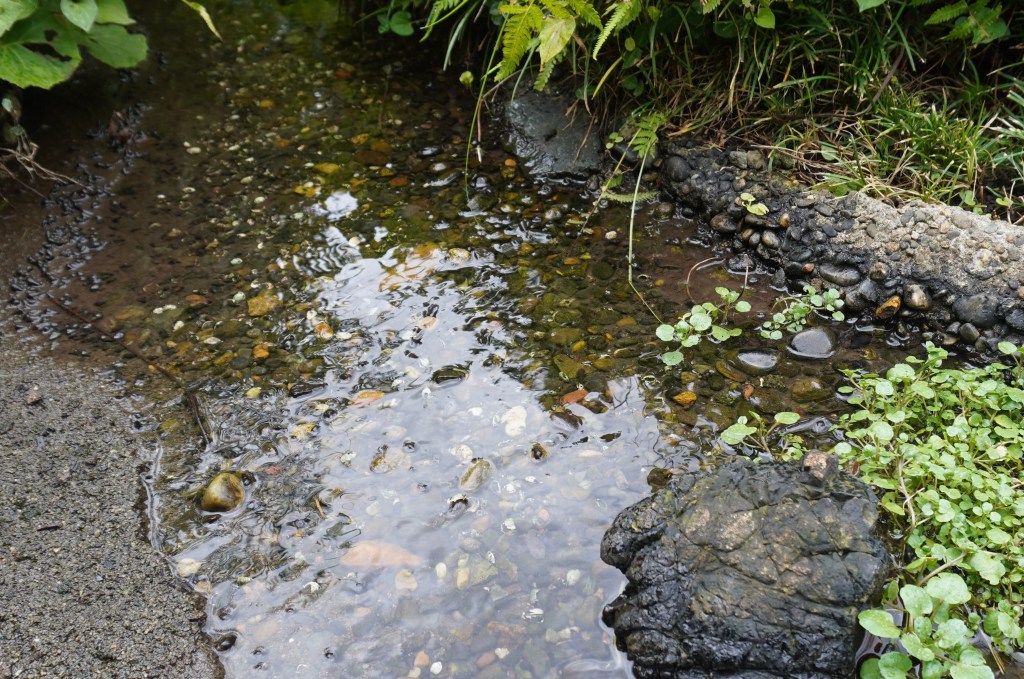 【コラム】千葉県長生郡へ絵の展示会を見に行きました
