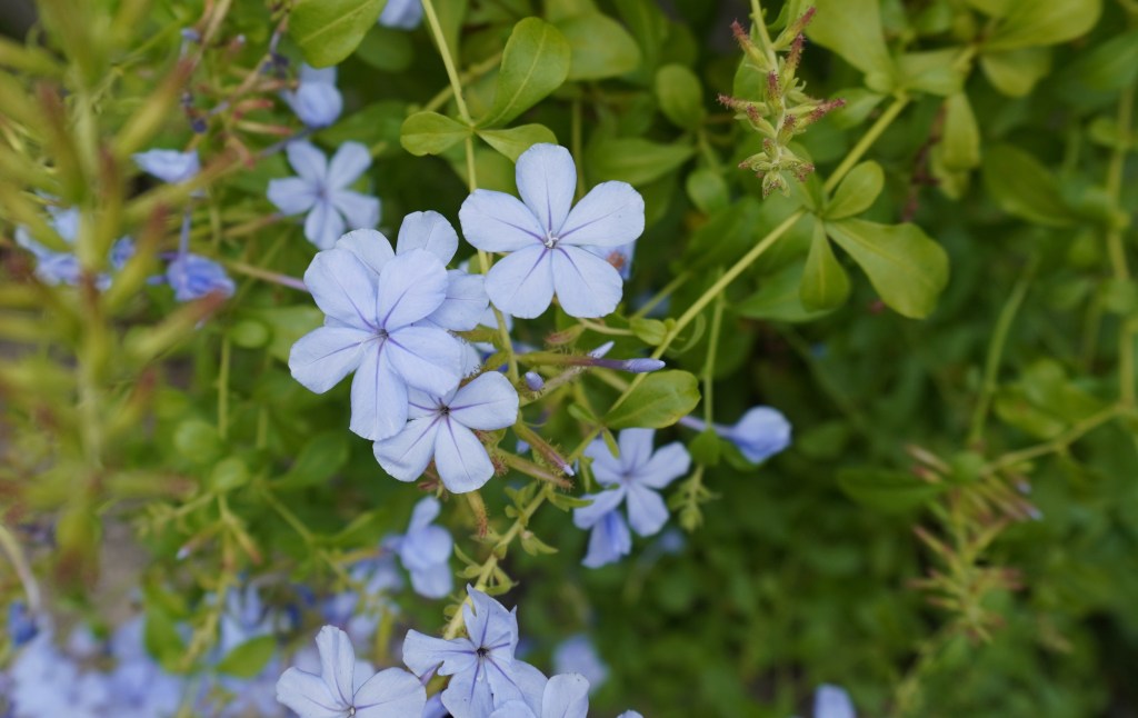 １人で頑張りすぎていませんか？「できる自分」の先にある本当の強さ