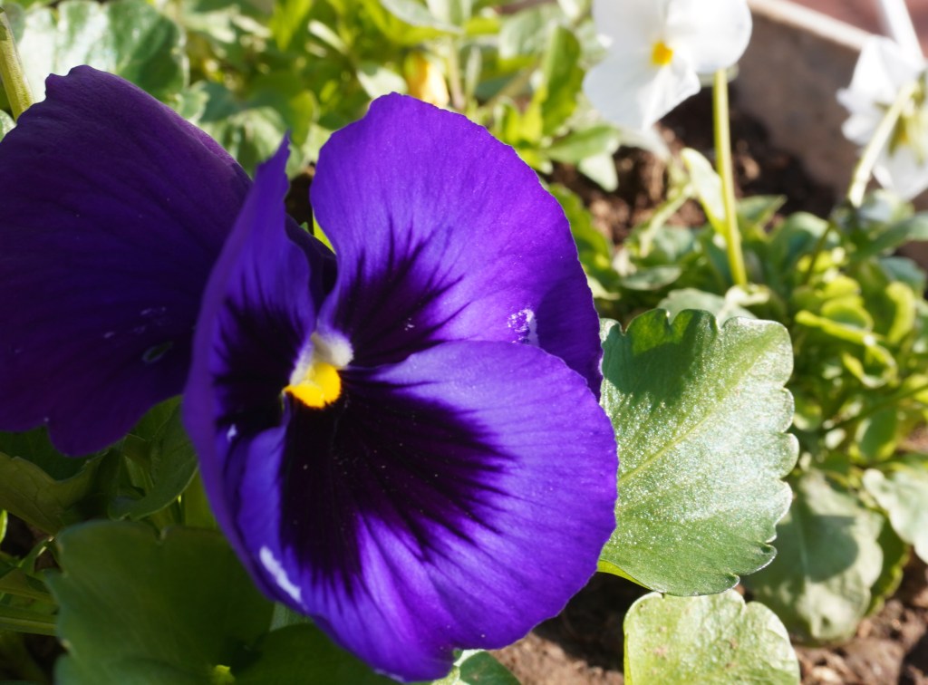 もう自分を責めない-自分を許すことから始める罪悪感からの解放