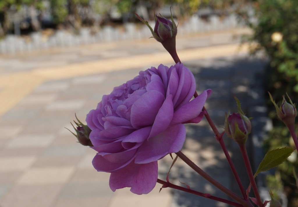 依存と愛情の違いを見極める