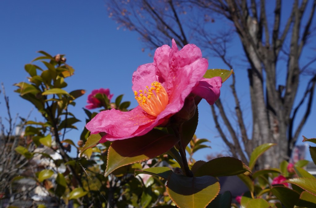 インナーチャイルドの影響を見極めるコツ