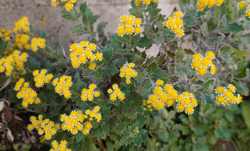 【コラム】来年の目標と目標の設定方法