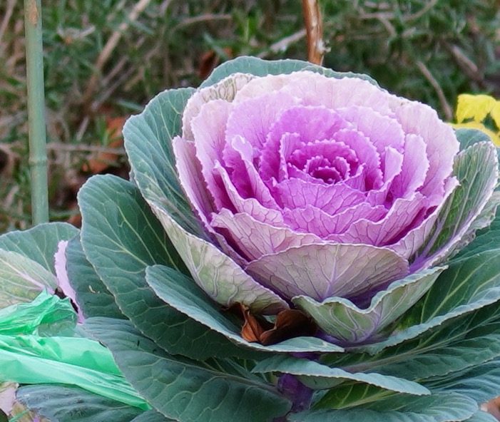 才能を認められない理由―「特別であってはいけない」という無意識の制限