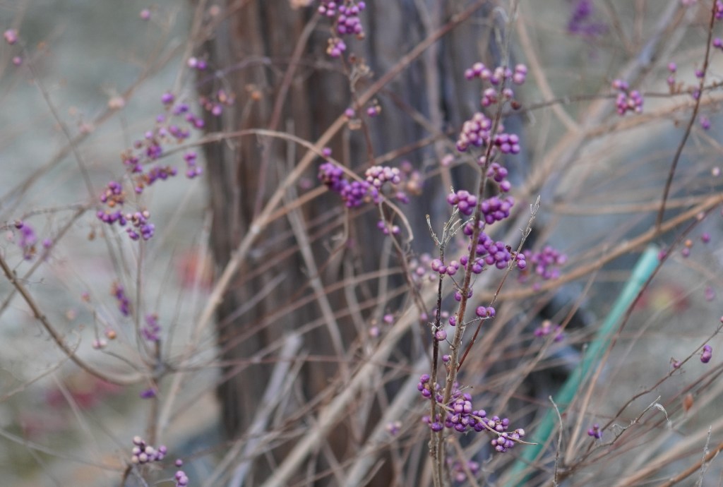 インナーチャイルドが癒されると、素直な自分で生きられるようになる