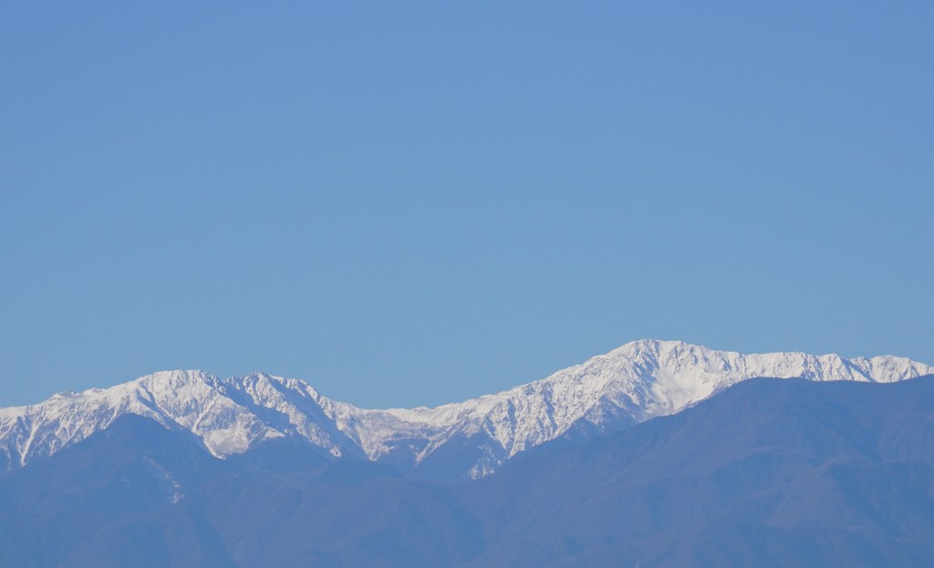 【コラム】非合理さを受け入れる―本当の自分らしさへの第一歩