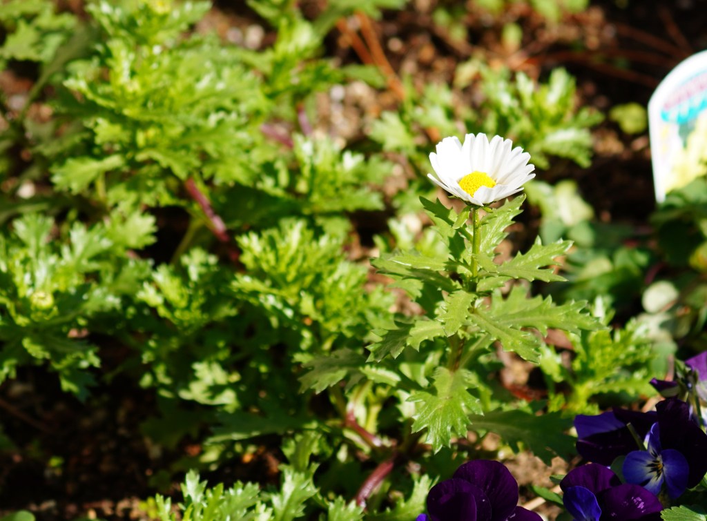 親の『恥ずかしい』に縛られた人生を終わりにする―世間体という呪縛から自由になる道