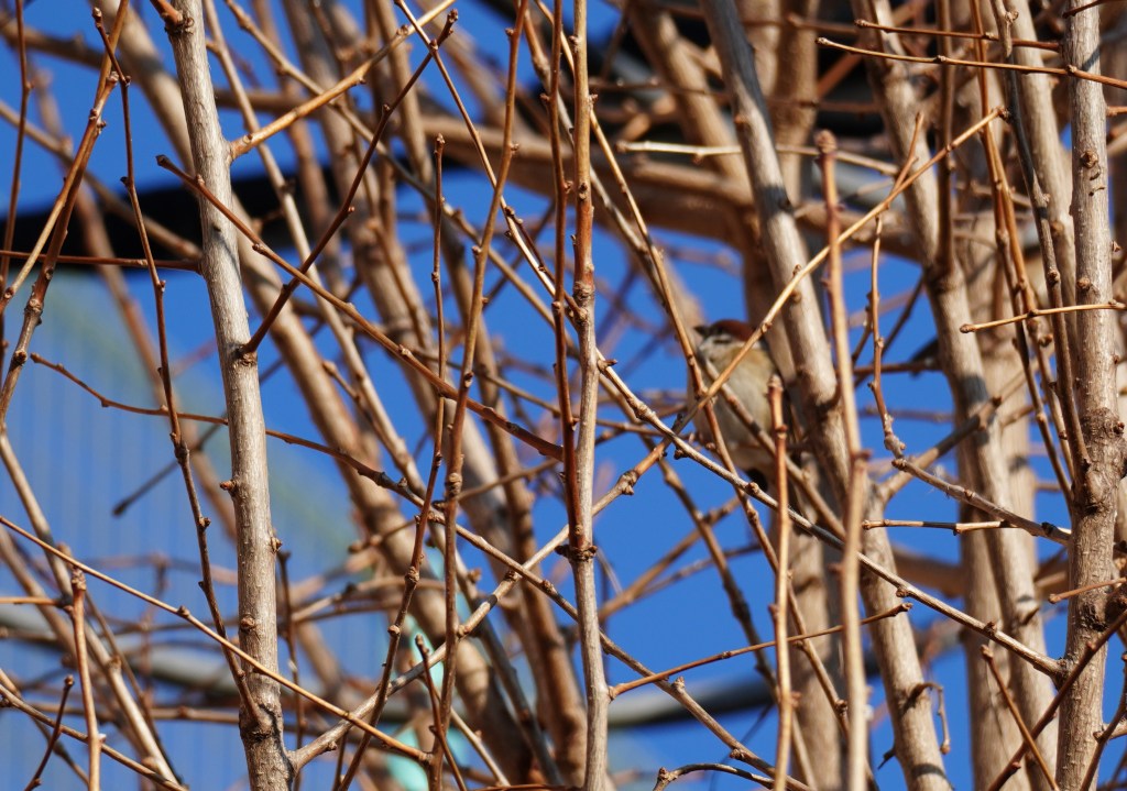 「居場所がない」という感覚の正体とインナーチャイルドの癒し方