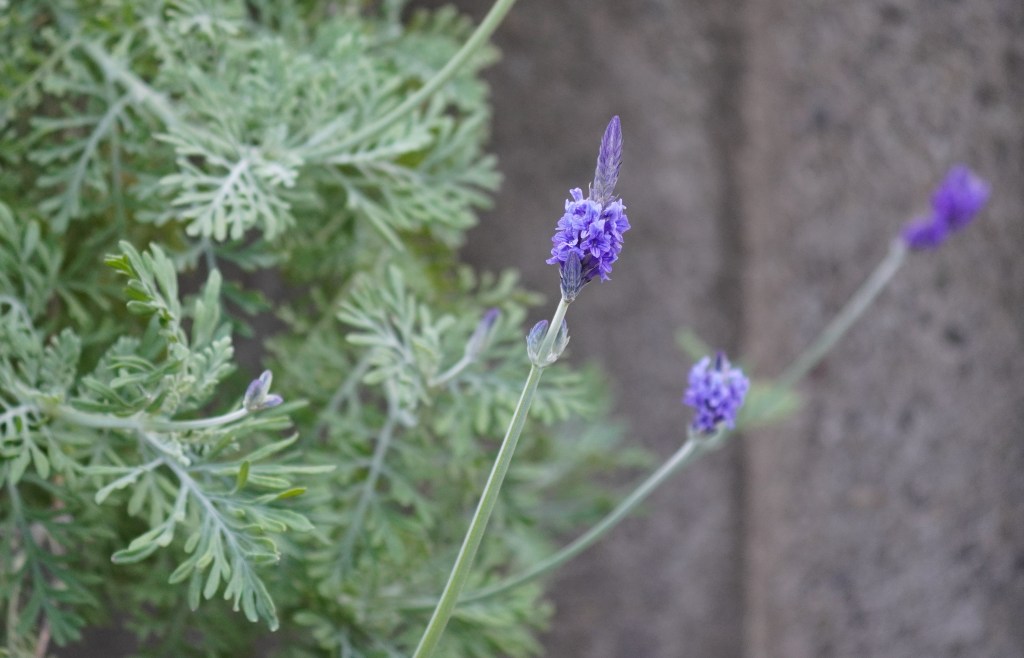 「役割を脱いだ自分」に何が残るのか？ ── 喪失感の正体と、自分を取り戻す処方箋