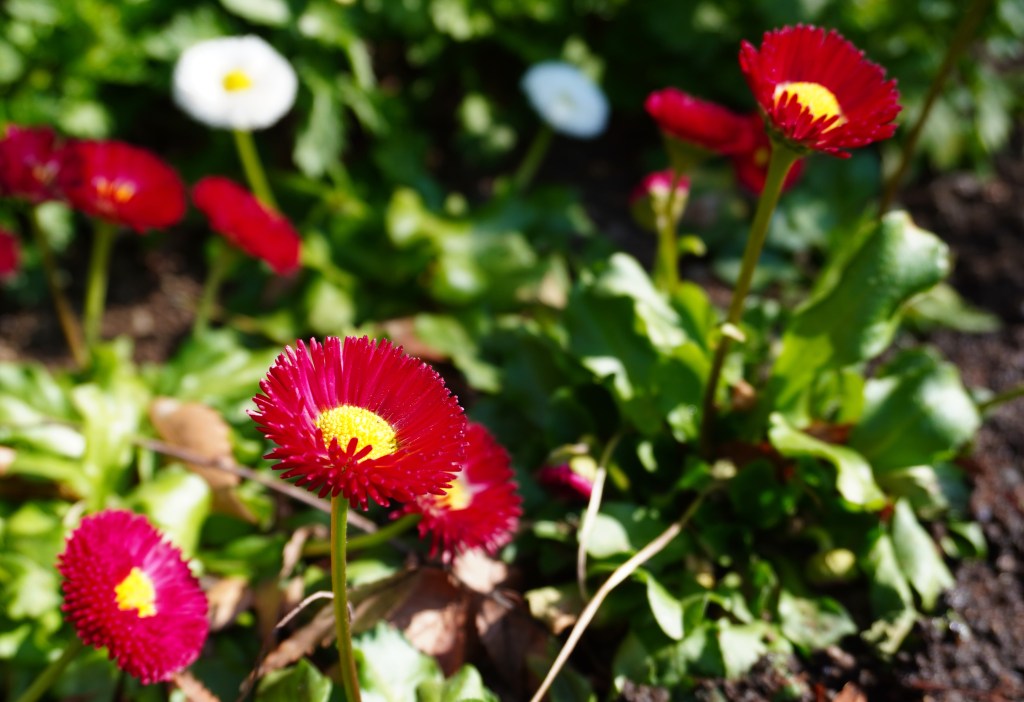 人間関係の緊張を解くカギは親子関係にある―自分を楽にすることから始める関係改善