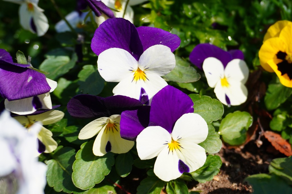 【コラム】絵を描く自由と、自分らしさを見つける旅