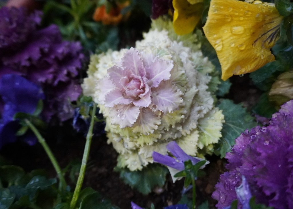 なぜ人を信じられないのか――敵対意識の奥で叫ぶインナーチャイルドの声