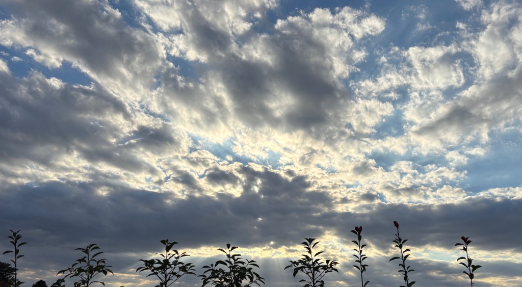 【コラム】翻訳ってすごい仕事だな‥と思ったこと