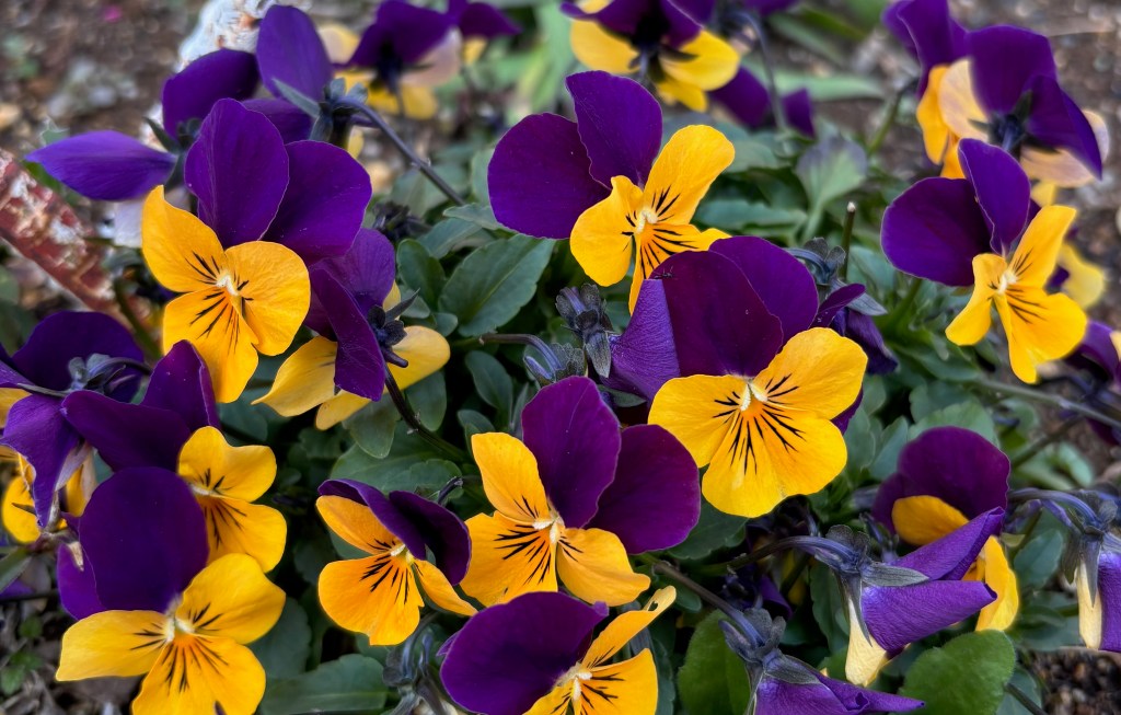 「自分がわからない」あなたへ――感じることから始める、自分との出会い方